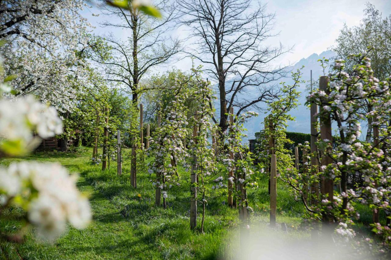 Villa Ladurner Tirolo Dış mekan fotoğraf